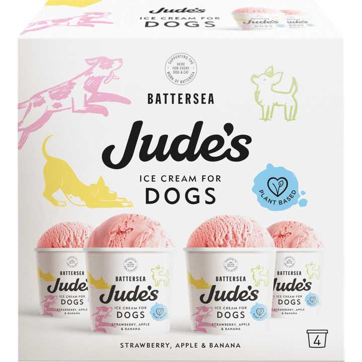 Jude's Ice Cream For Dogs 4x90ML