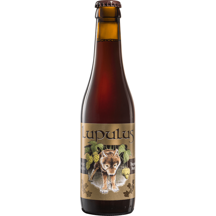 Bruin Bier - Fles - 330 ML