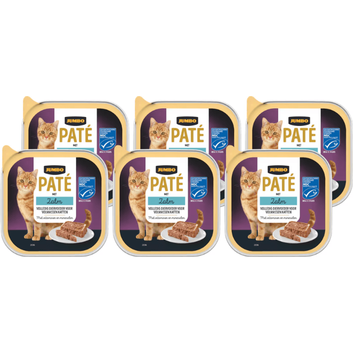 Paté met Zalm