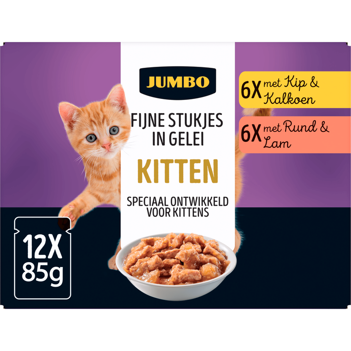 Whiskas Croccantini Junior 2-12 maanden met kip, droogvoer voor kittens, 14 stuks (14 x 300 g