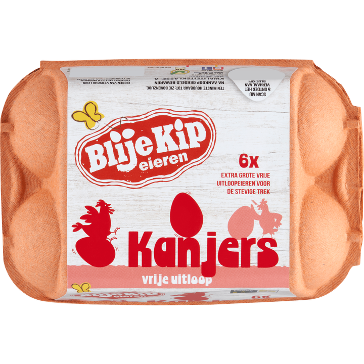 Blije Kip Eieren Kanjers Vrije Uitloop 6 Stuks