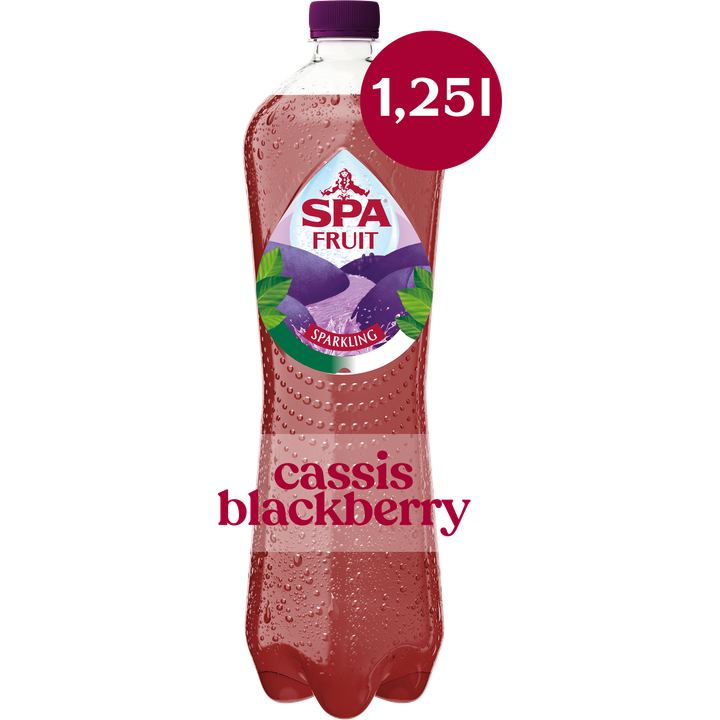 Spa FRUIT Bruisende Fruitige Frisdrank Cassis Blackberry 1,25 l