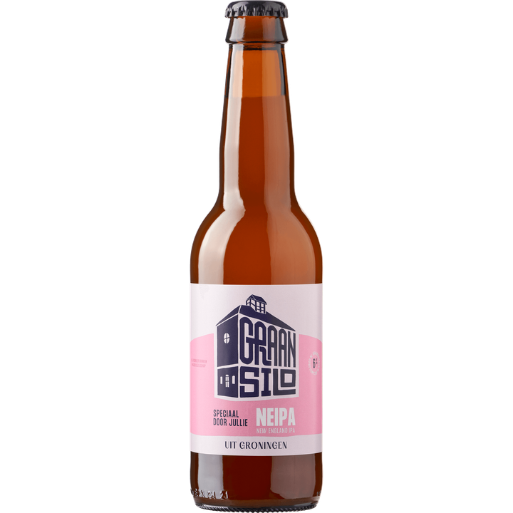 New England IPA uit Groningen Fles 330ML