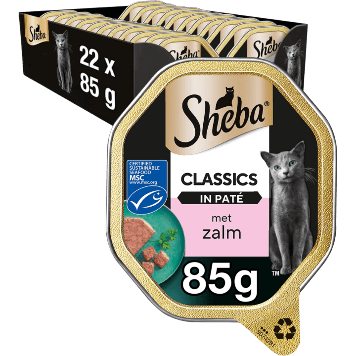 in Paté met Zalm