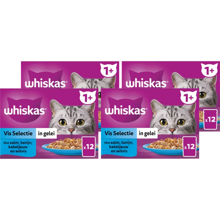 Beste natvoer kat 2026 | Beste Consumenten