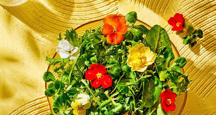 Voorjaars aardappelsalade