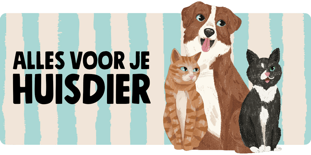 Alles voor je huisdier bij Jumbo