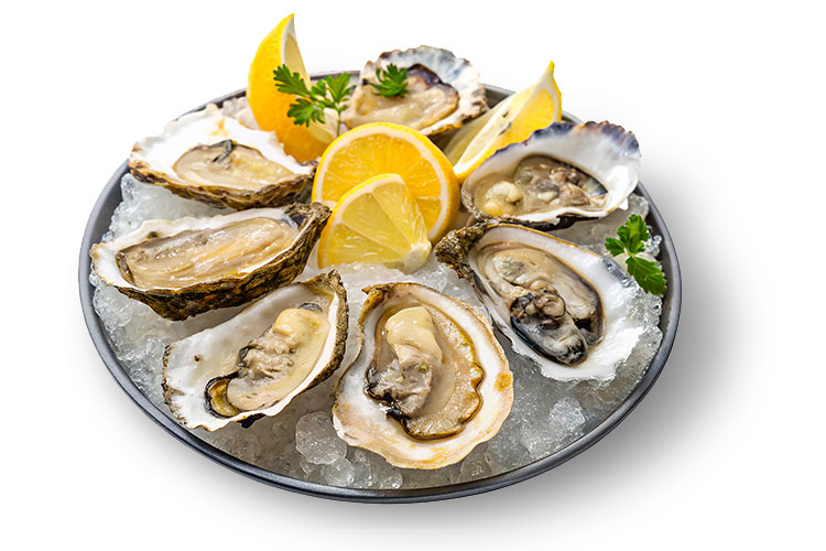 Oesters op een schaal met ijs