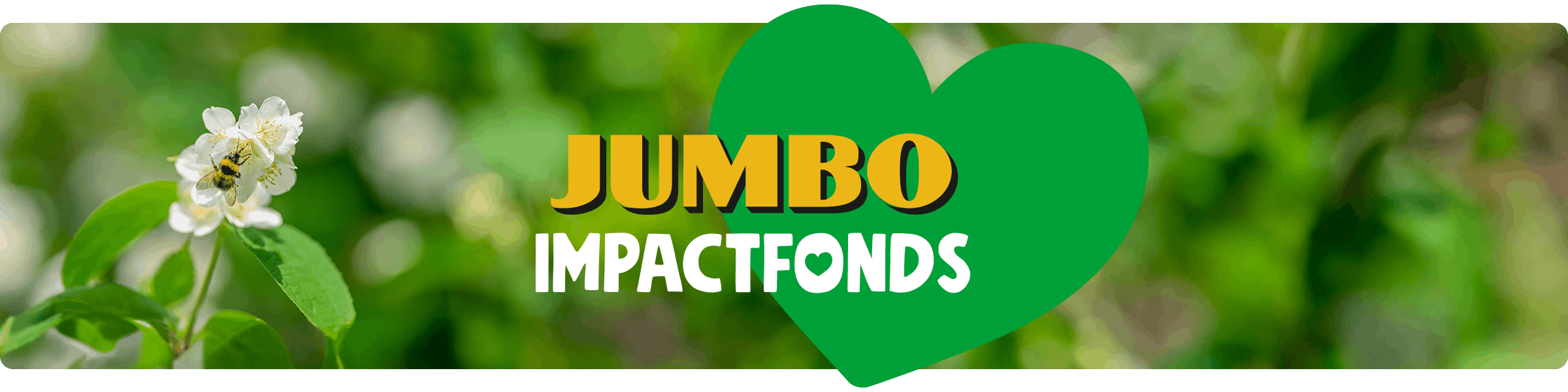 Jumbo Impactfonds